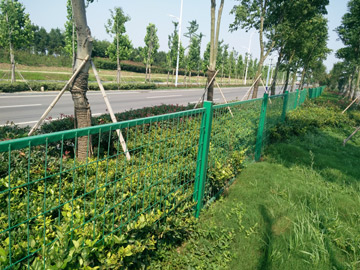 綠化帶隔離網(wǎng) 綠化帶隔離網(wǎng)