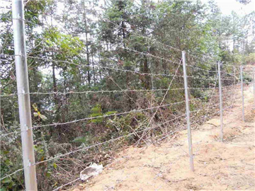 刺絲圍欄網02 刺絲圍欄網02