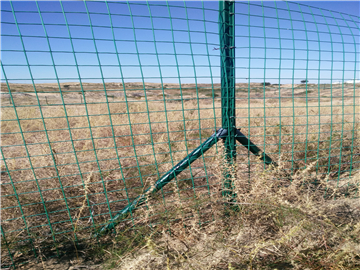 涂塑荷蘭網圍欄06 涂塑荷蘭網圍欄06